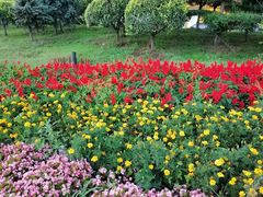 -保利·罗兰香谷