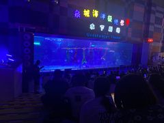 -泉城欧乐堡海洋极地世界