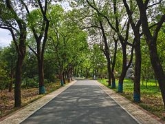 -东湖落雁景区