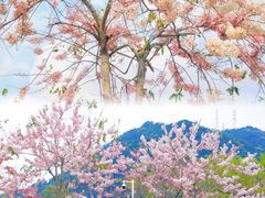 -白石龙音乐公园