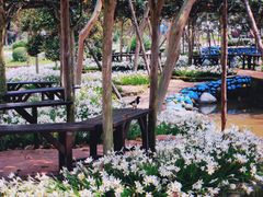 -武汉紫薇都市田园