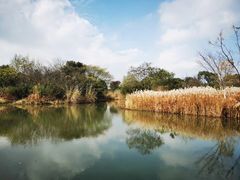 -梁鸿国家湿地公园