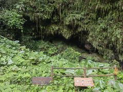 -海口火山口国家地质公园