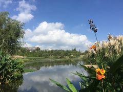 景点-贵阳市花溪国家城市湿地公园