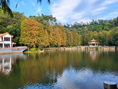 -深圳仙湖植物园