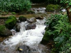 -莫里热带雨林景区