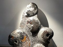 -中国地质博物馆