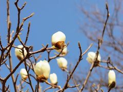 -重庆中央公园(渝北区)