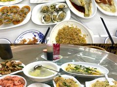 -广东惠东海龟国家级自然保护区