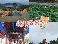 -泰山风景名胜区-虎山公园