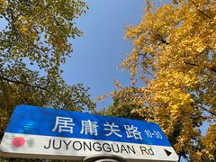 -八大关景区
