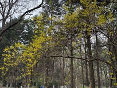 -沈阳植物园