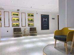 -MIVI野生眉纹绣纹眉