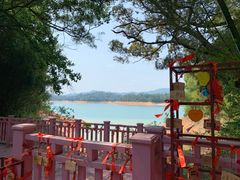 -广州市流溪河国家森林公园