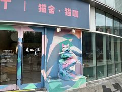 -飞行喵MR PILOT|猫舍·猫咖(静安大融城店)