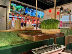 -粤小煲鲜汤猪肚鸡(丹尼斯二天地店)