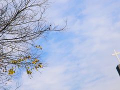-虎丘湿地公园