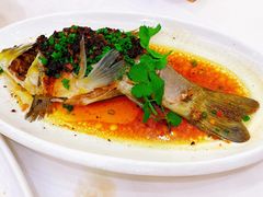 -金华安大酒楼·老牌潮菜·粤式茶点(东方国际店)