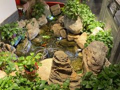 -清真·京华源铜锅涮肉(丰庆店)