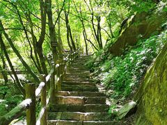 -青峰峡国家森林公园