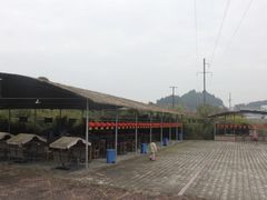 -中国有机生活公园