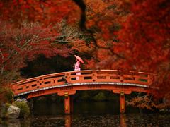 -醍醐寺