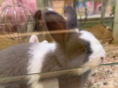 -龙猫仔乐园(惠福东路店)