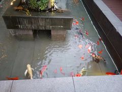 -辉哥火锅(虹桥路店)