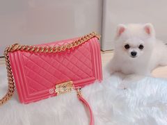 -CHANEL(恒隆广场店)