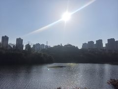 -重庆彩云湖湿地公园