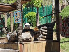 -大连森林动物园