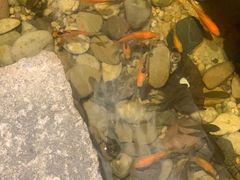 -邈墨茶馆(凤起路店)