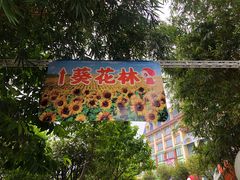 -百万葵园