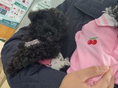 -爱侣宠医·鹦鹉专科·小型哺乳类·异宠专科(灵石路店)