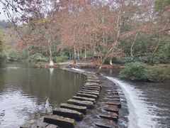 -阿哈湖国家湿地公园