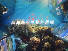-山东省科技馆(新馆)