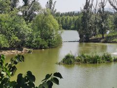 -翠湖国家城市湿地公园