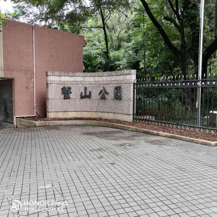 蟹山公园-"没想到公园里面也会有果子和大树菠萝,藏的.