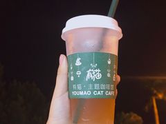 -有猫主题·治愈系猫咖(曾厝垵店)