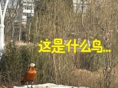 -太原动物园