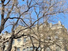-张学良旧居陈列馆
