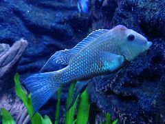 -上海海洋水族馆