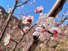 -崂山九水游览区