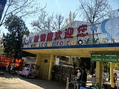 -保定市动物园