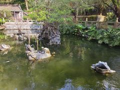 -国恩寺