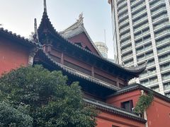 -上海白云观
