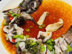 -曼格纳·曼芯馆(杨浦店)