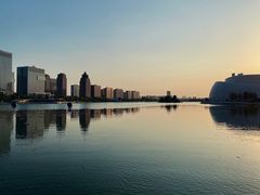 -金沙湖公园