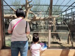 -石家庄市动物园