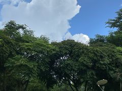 -火炉山森林公园